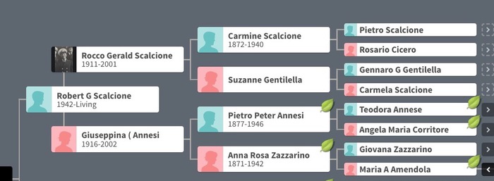 Scalcione family tree